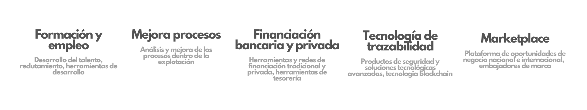 Banner 1